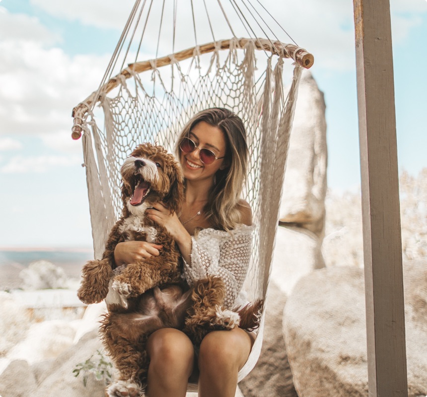 For Trusted Kiwi House Sitters Choose The Housesitting Company
